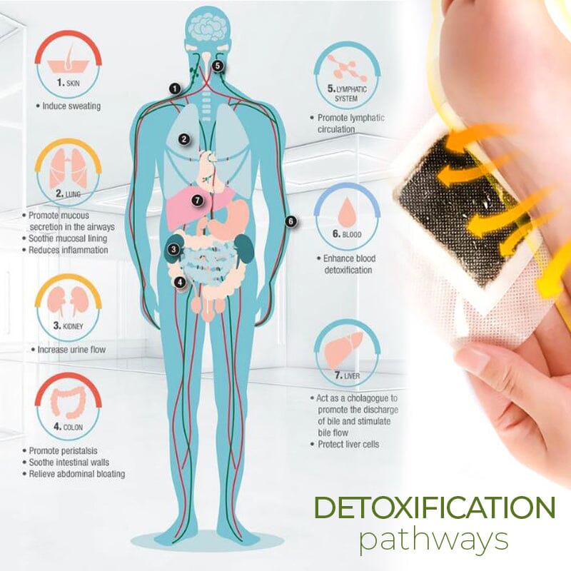 DrVerd™ DetoxPlus Lymphatic Drainage Foot Pads