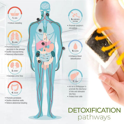 DrVerd™ DetoxPlus Lymphatic Drainage Foot Pads